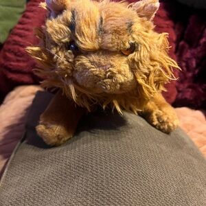 Crookshanks plush from Harry Potter